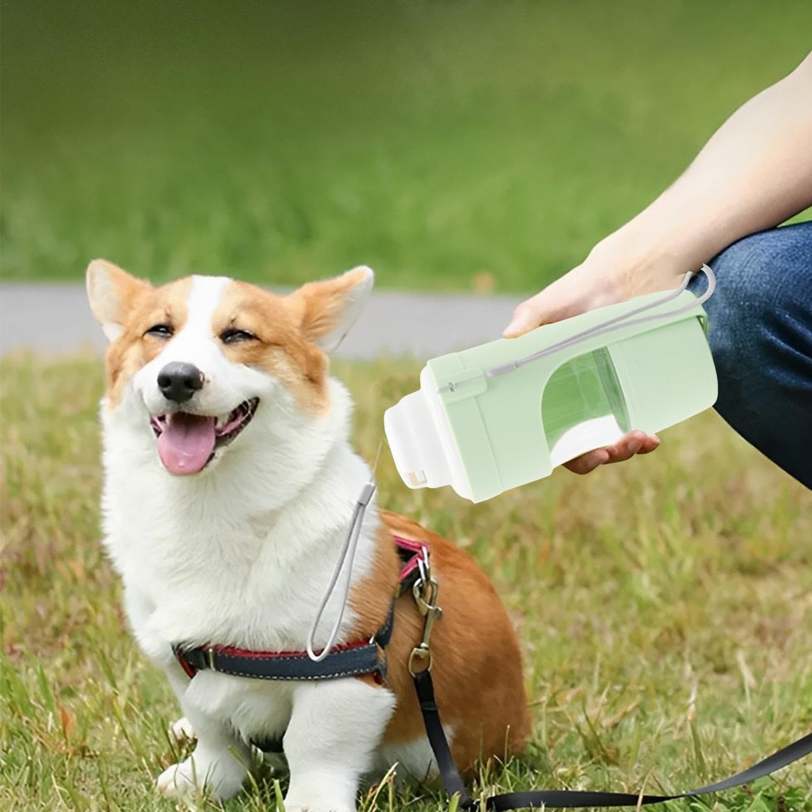 2 In 1 Travel Dog Water Bottle